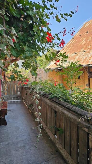 Le Banc Des Seilles Villa Bonvillard Dış mekan fotoğraf